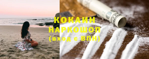 гашик Ветлуга