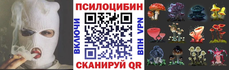Галлюциногенные грибы Psilocybine cubensis  закладка  Белоозёрский 