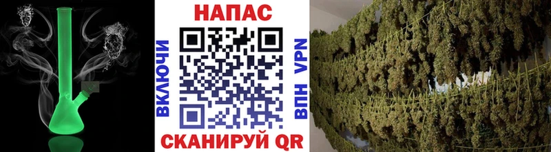 Конопля конопля  Белоозёрский 